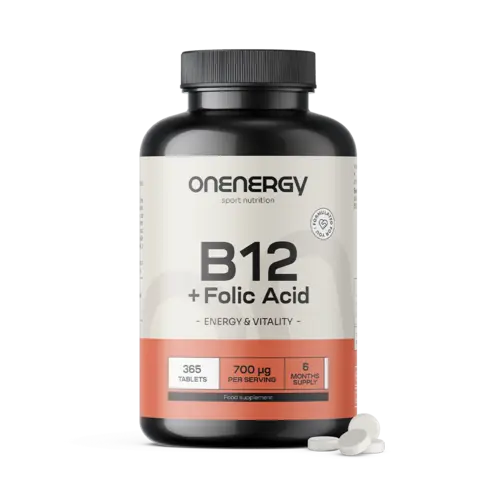 Vitamín B12 + kyselina listová, 365 tablet