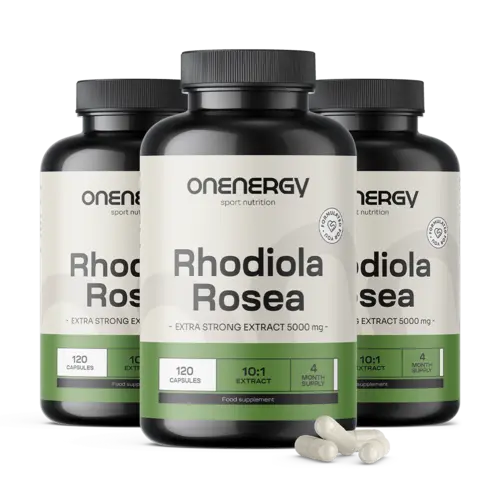 3x Rozchodnice růžová (Rhodiola) 5000 mg - výtažek, dohromady 360 kapslí
