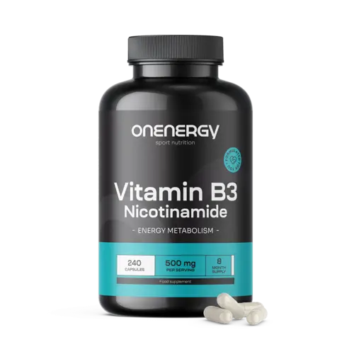 Vitamín B3 500 mg - nikotinamid, 240 kapslí